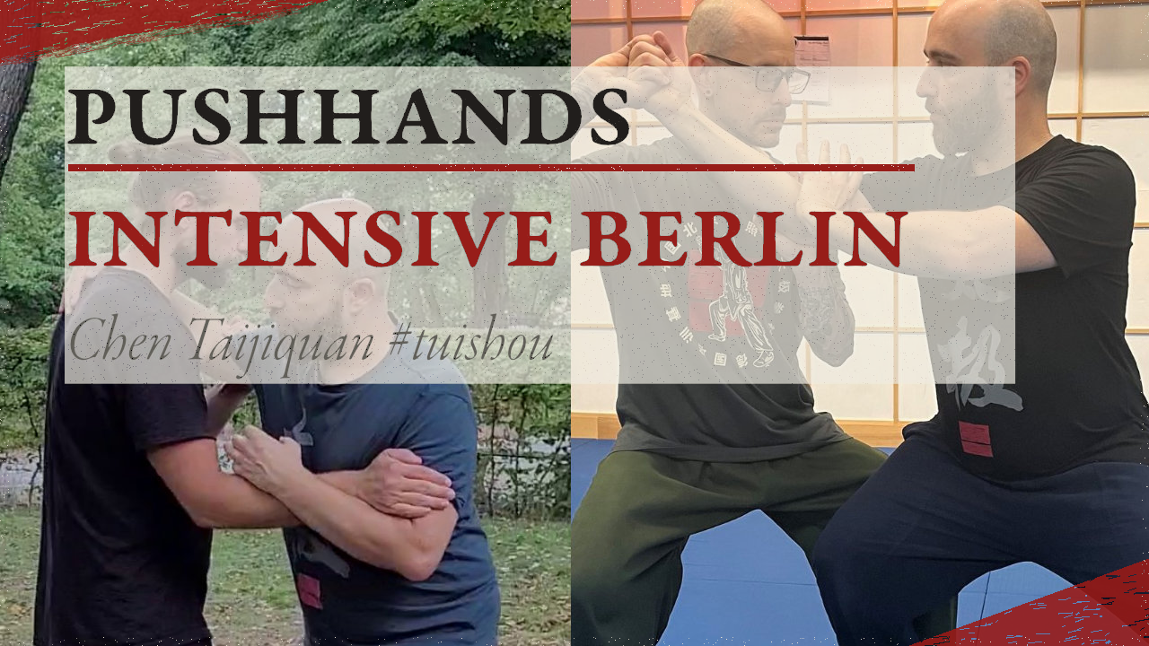 Chen Taijiquan Pushhands Berlin