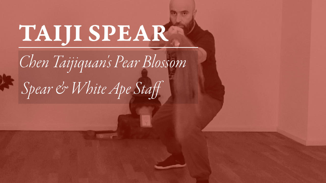 Chen Family Taijiquan Tai-Chi Second Road Erlu Cannon Fist